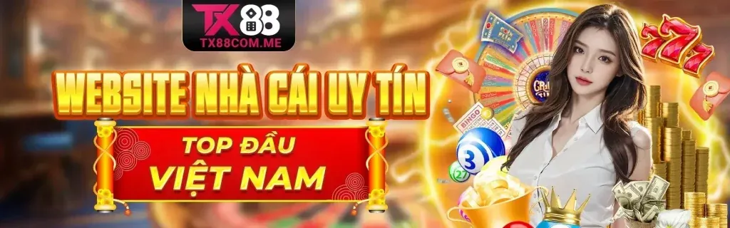 Minh họa câu hỏi thường gặp