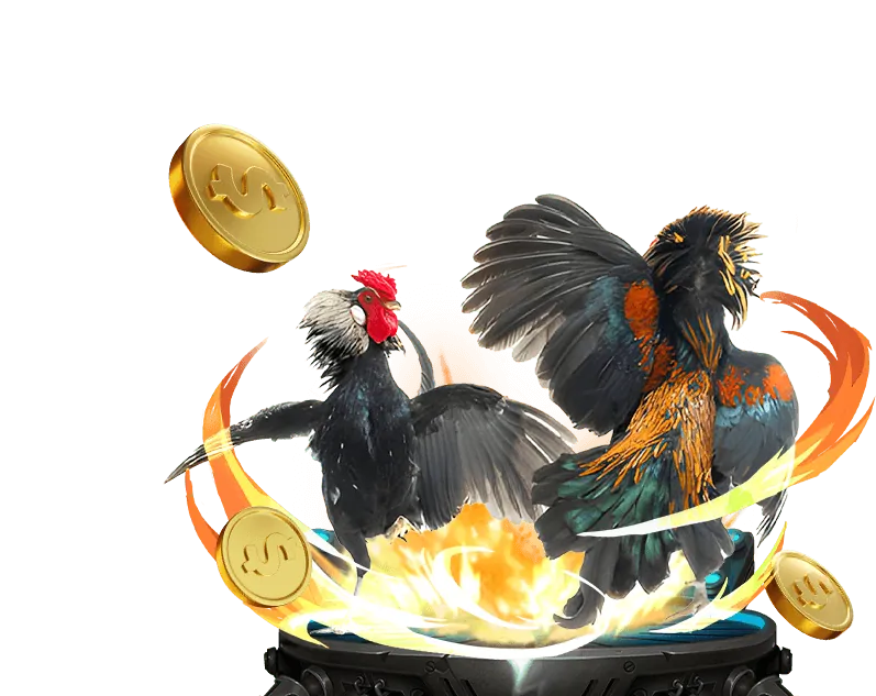 Tiền thưởng chào mừng và khuyến mãi 5fun win